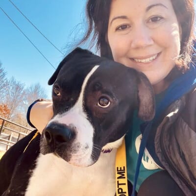 Andrea pet adoption