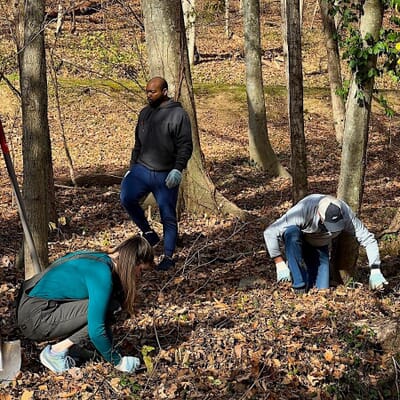 Members of our Nashville team giving back to their community by planting trees in a local park