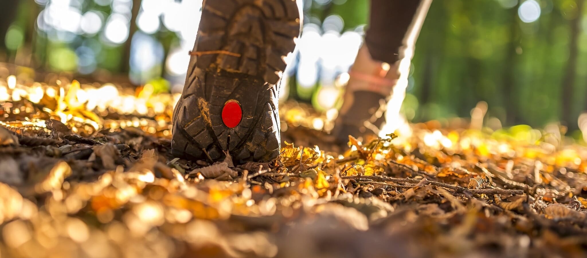 Tread of hiking boot as woman hikes