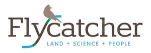 Flycatcher logo