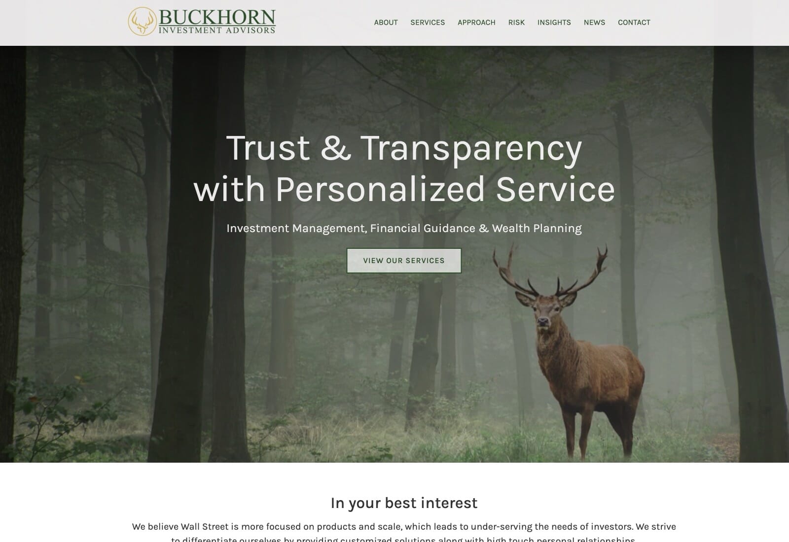 Buckhorn Advisors website screenshot
