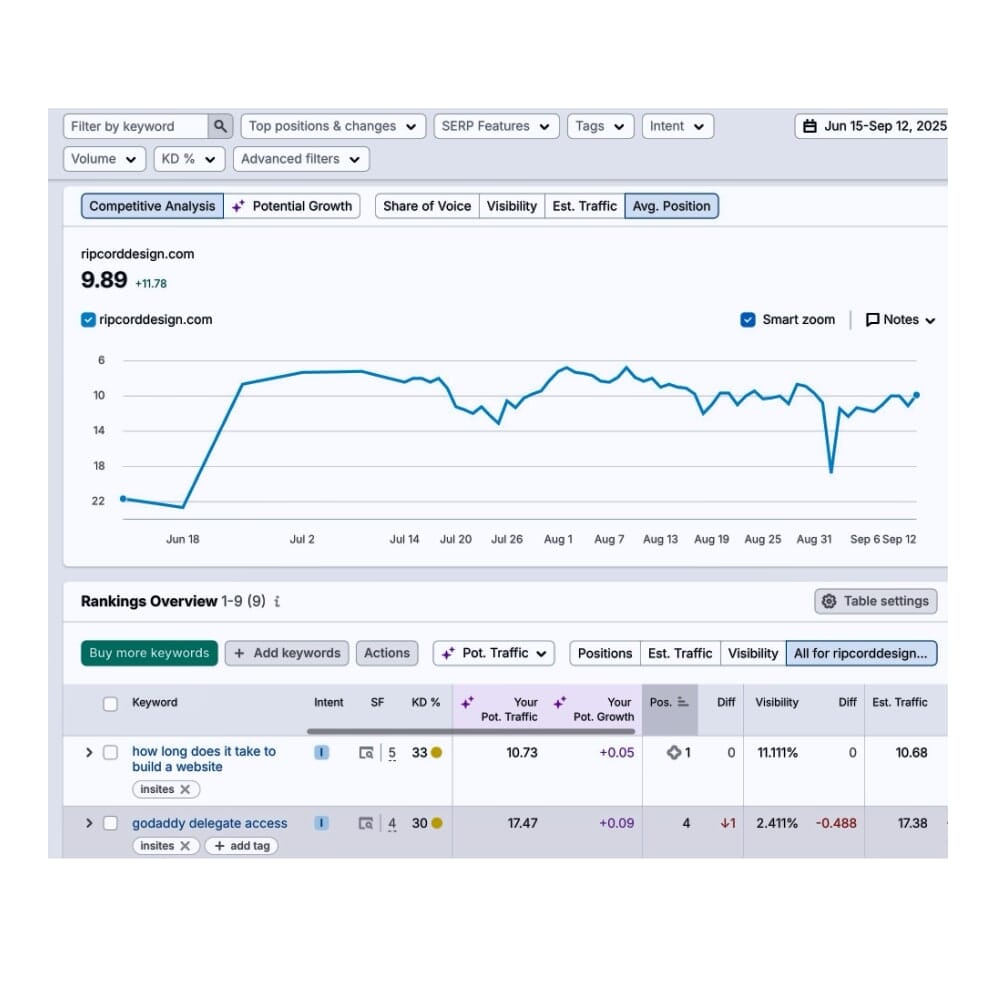 Chart of a website rankings in SEO dashboard