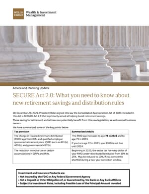SECURE Act 2.0 PDF
