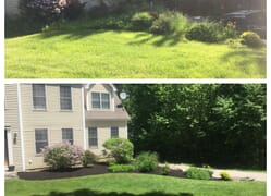 Before and after shots of a small planting bed