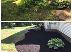 Before and after shots of a small planting bed
