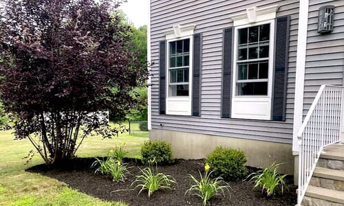 Front of grey house with new plantings