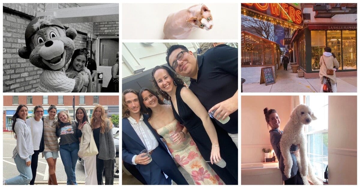 Kate Mueller collage